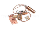 1192290 International Comfort Pro Valve Txv