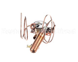 1192290 International Comfort Pro Valve Txv