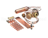 1192606 International Comfort Pro Kit Txv (Valve)