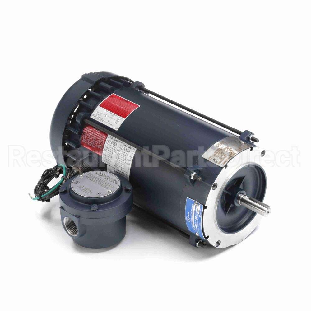 119423 Leeson Motor
