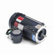 119423 Leeson Motor