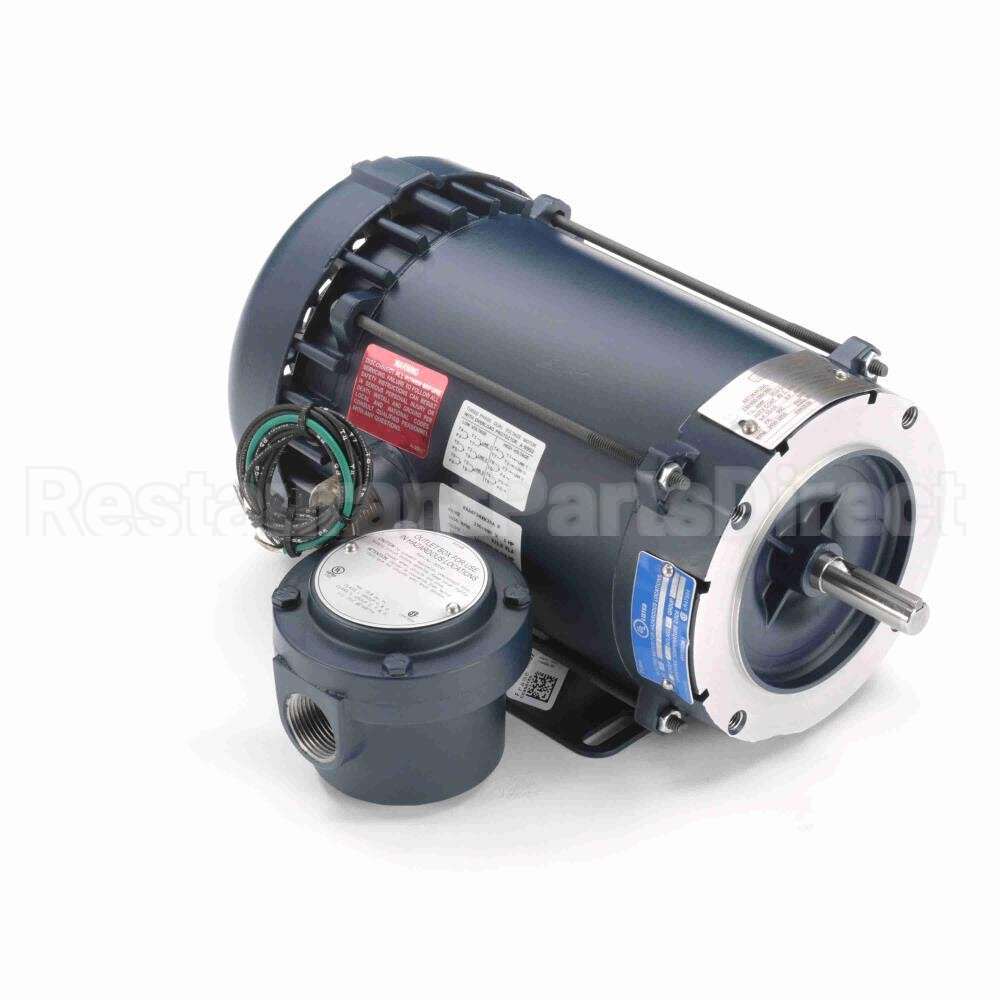 119436 Leeson Motor
