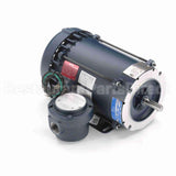 119436 Leeson Motor