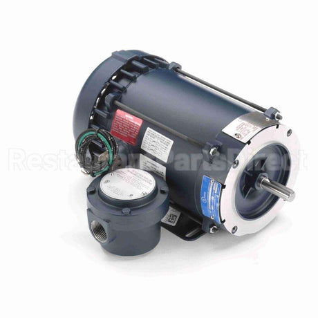 119436 Leeson Motor