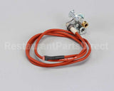 119447 Groen Pilot Burner Orifice Asm Ng