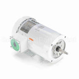 119463 Leeson Jet Pump Motor