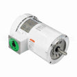 119468 Leeson Motor