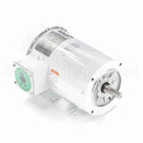 119482 Leeson Motor