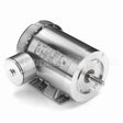 119491 Leeson Motor