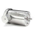 119499 Leeson Motor