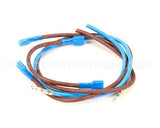 1195 Cretors Set Of Wirescornditioner