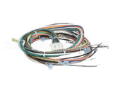 1195233 Southbend Range Main Harness, Gas