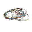 1195234 Compatible Southbend Controlharness, Gas