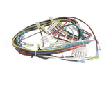 1195234 Southbend Range Control Harness, Gas