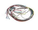 1195234 Southbend Range Control Harness, Gas