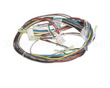 1195234 Southbend Range Control Harness, Gas