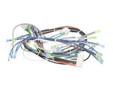 1195321 Southbend Range Control Harness, Wendys Gas