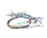 1195321 Southbend Range Control Harness, Wendys Gas