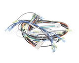 1195321 Southbend Range Control Harness, Wendys Gas