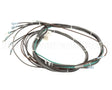 1195324 Southbend Range Main Harness, Wendys Elect