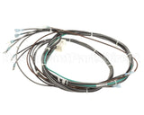 1195324 Southbend Range Main Harness, Wendys Elect