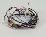 119857 Groen Harness, Control