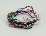 119857 Groen Harness, Control