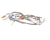 119877 Groen Harness, 120Vac