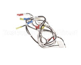 119877 Groen Harness, 120Vac