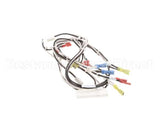 119877 Groen Harness, 120Vac