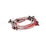 12-2059-0001 Fbd Wire Harness,Temp Sensor,Rtd