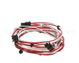 12-2059-0002 Fbd Wire Harness, Temp. Without Rtd