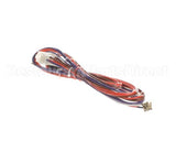 12-2491-02 Scotsman Harness Tde W/C