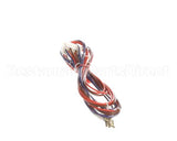 12-2491-02 Scotsman Harness Tde W/C