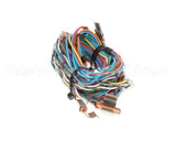 12-2509-0001 Fbd Assembly, Temp Sensor Wire Harness