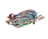 12-2509-0001 Fbd Assembly, Temp Sensor Wire Harness