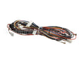 12-2619-01 Scotsman Wire Harness