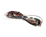 12-2619-01 Scotsman Wire Harness