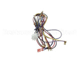 12-2747-01 Scotsman Harness - Hi Voltage