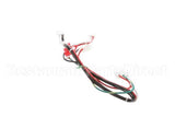 12-3001-01 Scotsman Pump Harness