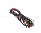12-3157-01 Scotsman Hi Voltage Harness R