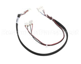 120033 Duke Harness Main Can Vdc Pw