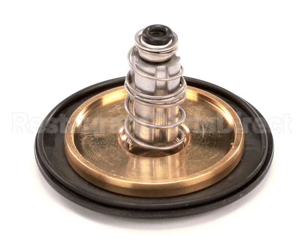 12041 Gaylord 1 Valve Repair Kit
