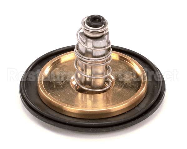 12041 Gaylord 1 Valve Repair Kit