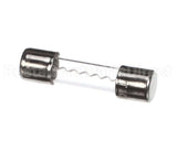 120500 Duke 10 Amp Fuse
