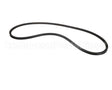 12054 Rondo V-Belt 1024