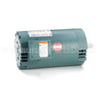 121071 Leeson Motor