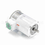 121867 Leeson Motor