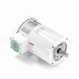 121867 Leeson Motor