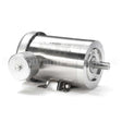 121880 Leeson Motor